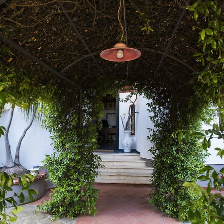 מונטקוריצ'ה Villa Gio B&B De Charme מראה חיצוני תמונה